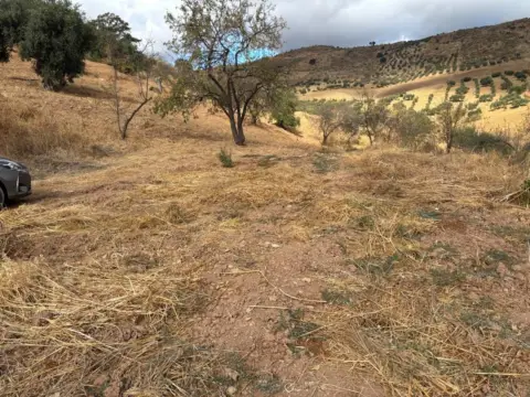 Terreno en calle >Diseminado Poligono 1, nº >
