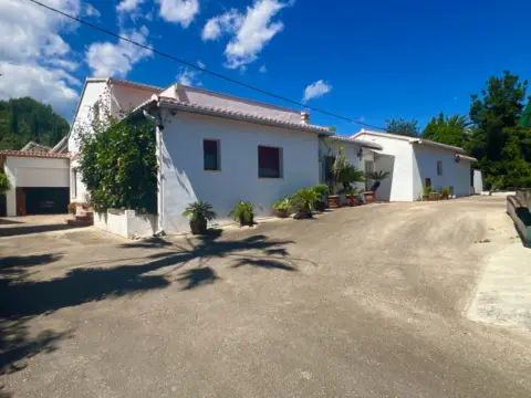 Rustic Finca in Pedreguer