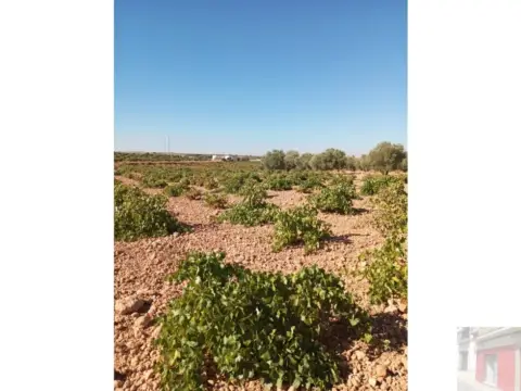 Finca rústica en Ctra. Las Mesas