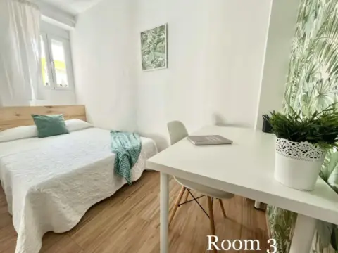 Habitación en Doctor Fedriani