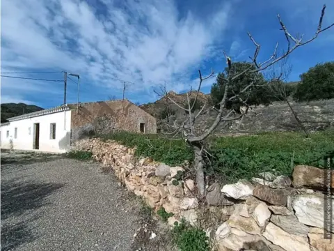 Finca rústica en Los Pinos