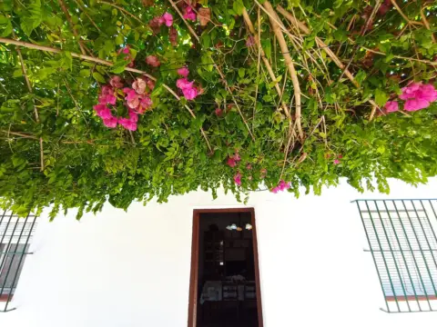 Chalet en calle C- Playa de Las Tres Piedras