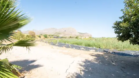 Finca rústica en Ondara