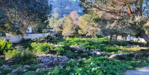 Terreno en Montgo