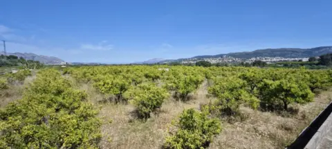 Terreno en Campo