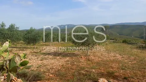 Casa en calle Cañada del Pinar