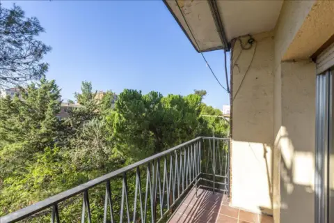 Piso en calle de Soledad Cazorla