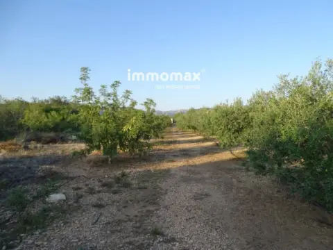 Finca rústica en Centre