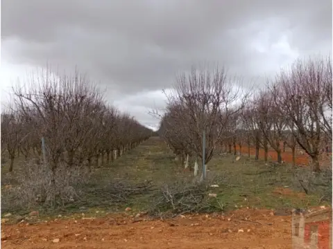 Finca rústica en Ctra. Minaya. Km 4