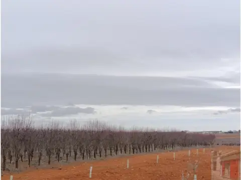 Finca rústica en Ctra. Minaya. Km 4