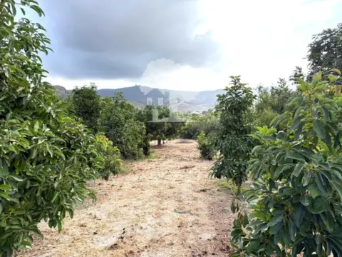 Terreno en Camino de las Ventillas, 1