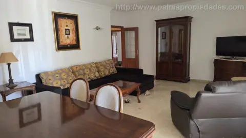 Piso en Son Dameto