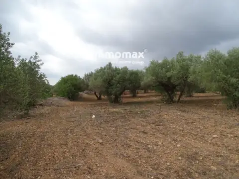 Finca rústica en Xerta
