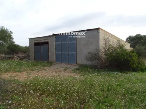 Finca rústica en Xerta