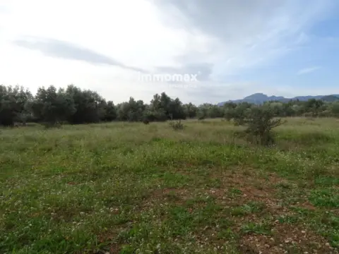 Finca rústica en Xerta