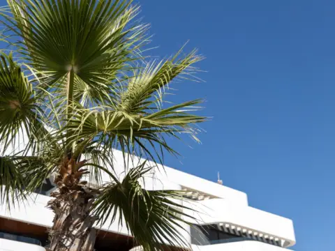 Ático en Los Álamos