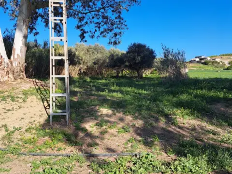 Terreno en calle Carretera del Carril de La Loma, Parcela 85, Políg