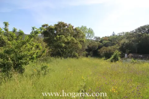 Terreno en Jabugo