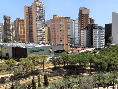 Piso en Avenida de la Aigüera