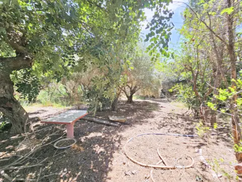 Casa en Fuente Álamo