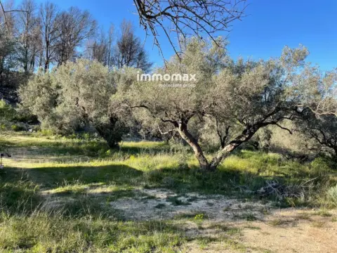 Finca rústica en Xerta