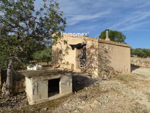 Finca rústica en Xerta