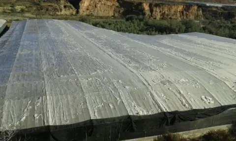 Finca rústica en Rambla Carlonca