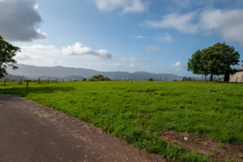 Terreno en Villaviciosa