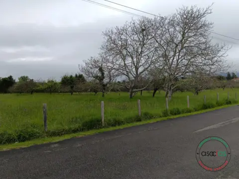 Terreno en calle Camino de La Eiria-Bernueces, nº 875