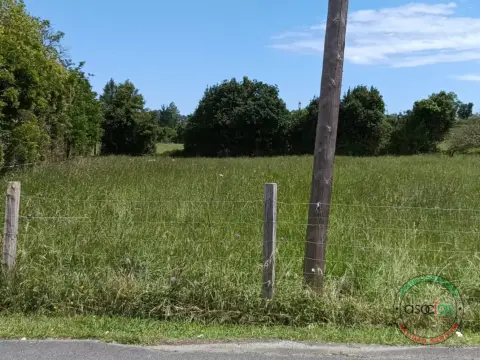 Terreno en calle Camino de La Eiria-Bernueces, nº 875
