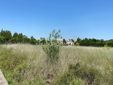 Terreno en calle Monastir de La Valldigna