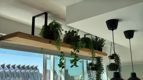 Piso en Passeig de l'Albereda