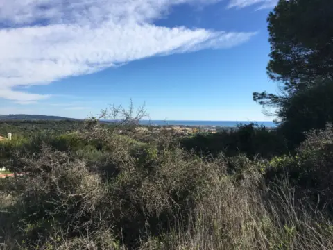 Terreno en Sotogrande Alto