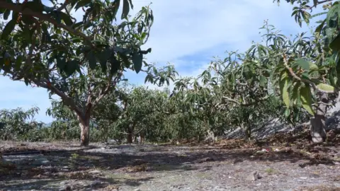 Finca rústica en Ítrabo