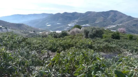 Finca rústica en Ítrabo