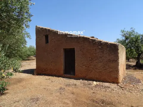 Finca rústica en Xerta