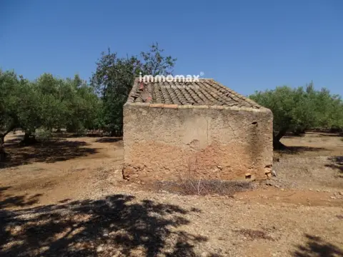 Finca rústica en Xerta