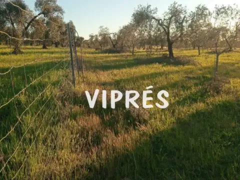 Finca rústica en San Luis-San Juan-Santa Isabel