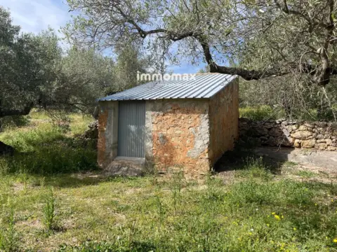 Finca rústica en Xerta