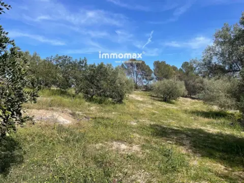 Finca rústica en Xerta