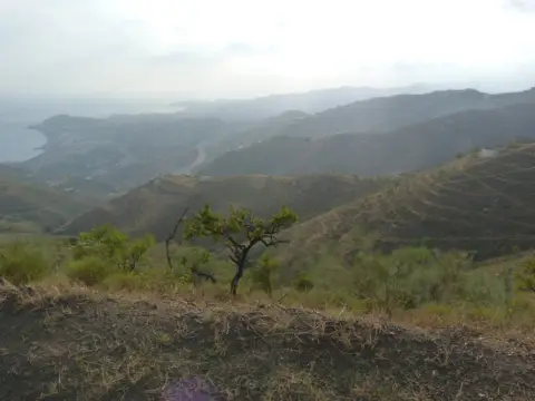 Finca rústica en Ítrabo