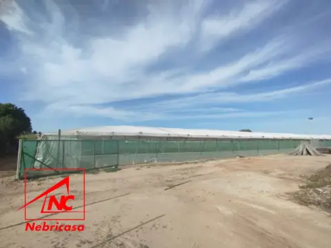 Finca rústica en Playa de las Tres Piedras-Costa Ballena