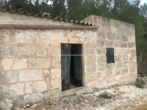 Finca rústica en Maria de la Salut
