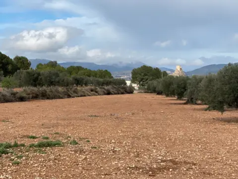 Finca rústica en Sax