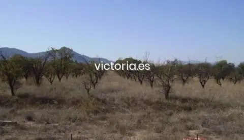 Terreno en Oportunidad Única de Terreno en Venta en Biar