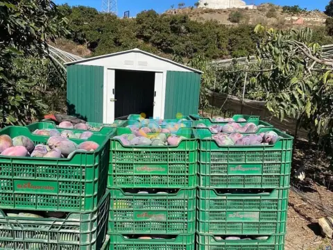 Finca rústica en Núcleo Urbano
