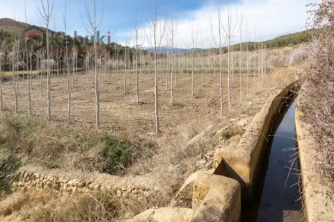 Terreno en calle Aute. Valle del Zalabi, nº Sin Informacion