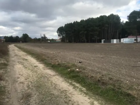 Terreno en calle Camino Las Chozas