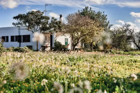 Finca rústica en Santa Eulària des Riu
