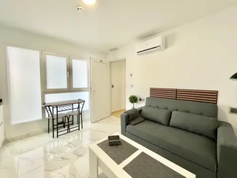 Estudio en Torrevieja